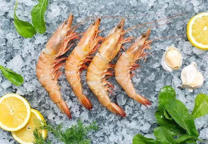 Jumbo Karides (PORSİYON)