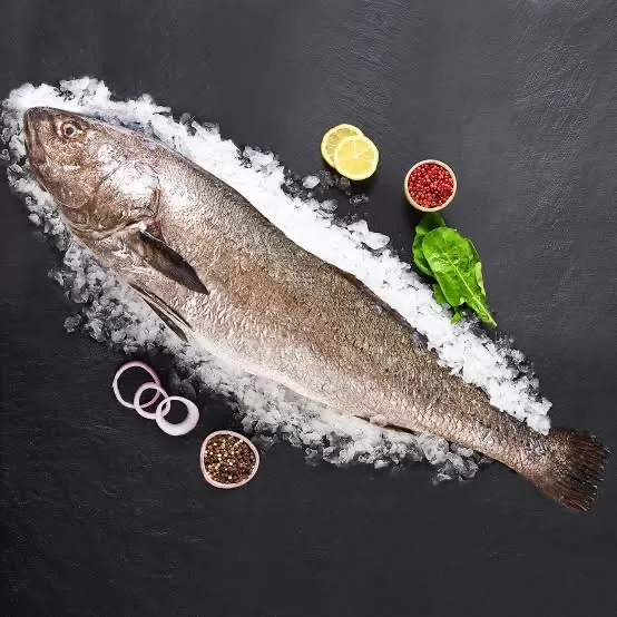 Kaya Levreği (ADET)