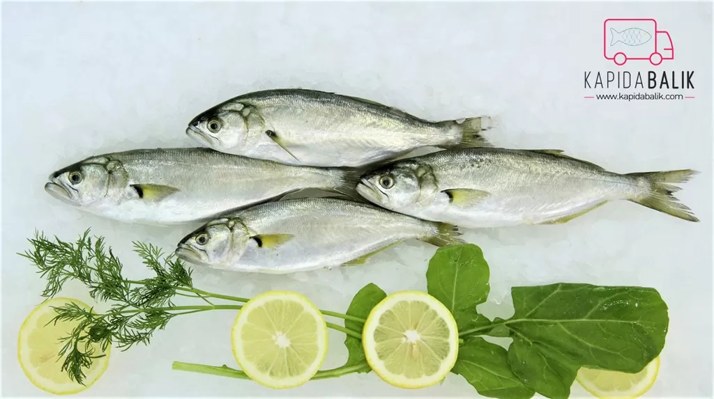 Sarıkanat (Porsiyon)